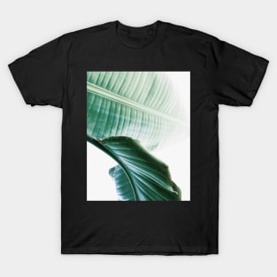 Banana leaves,Tropical leaves, Green leaves, Leaf, Modern art, Wall art, Print, Minimalistic, Modern, Scandinavian print T-Shirt